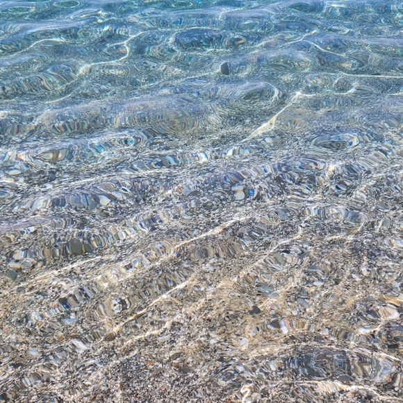 Meet your Posher, Sandy - Picture 1 of 1